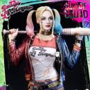 Harley Quinn chatacter image