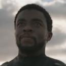 T'Challa chatacter image
