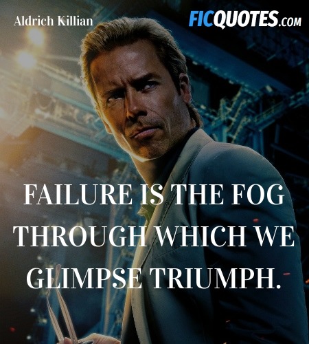 Failure is the fog through which we glimpse triumph. image