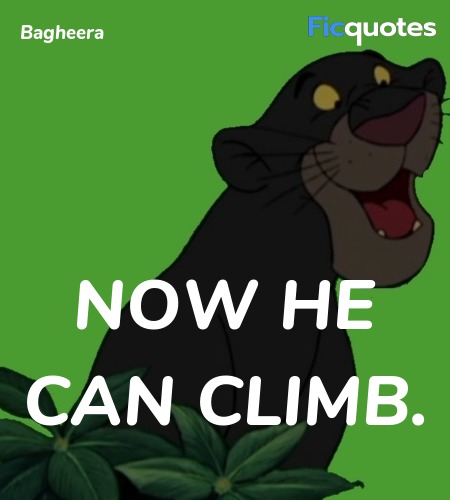 NOW he can climb. image