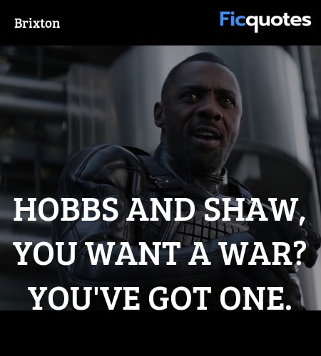 Hobbs and Shaw, you want a war? You've got one. image
