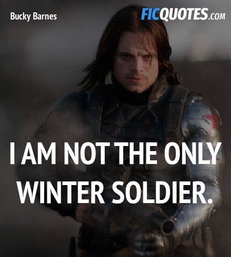 I am not the only Winter Soldier. image