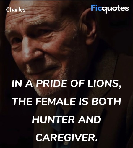 In a pride of lions, the female is both hunter and caregiver.
 image