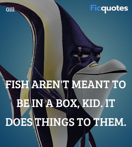Fish aren't meant to be in a box, kid. It does things to them. image