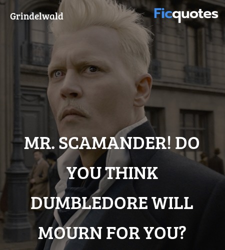  Mr. Scamander! Do you think Dumbledore will mourn for you? image