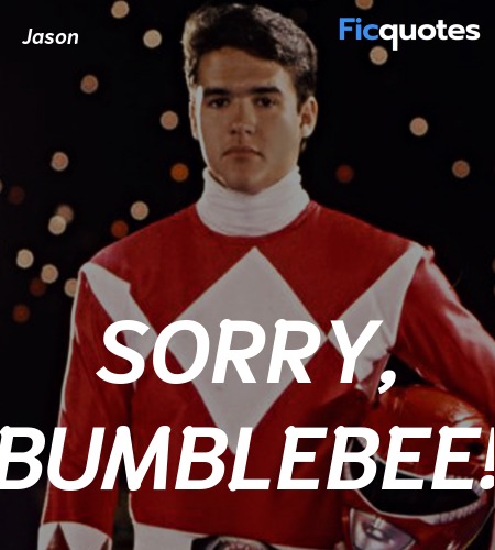  Sorry, Bumblebee! image