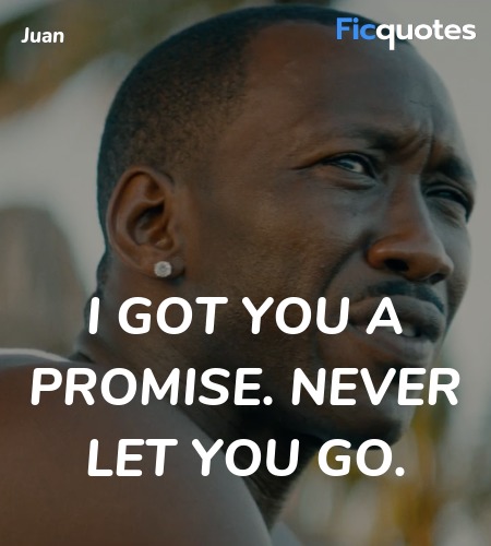 I got you a promise. Never let you go. image