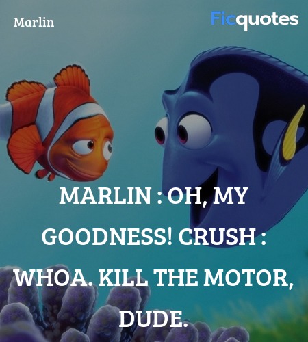 Marlin :  Oh, my goodness!
Crush : Whoa. Kill the motor, dude. image