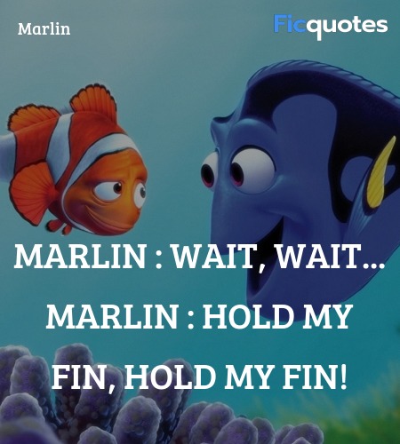 Marlin : Wait, wait...
Marlin : Hold my fin, hold my fin! image