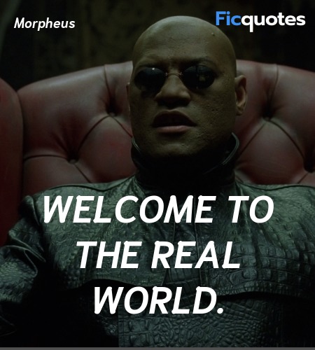 Welcome to the real world. image