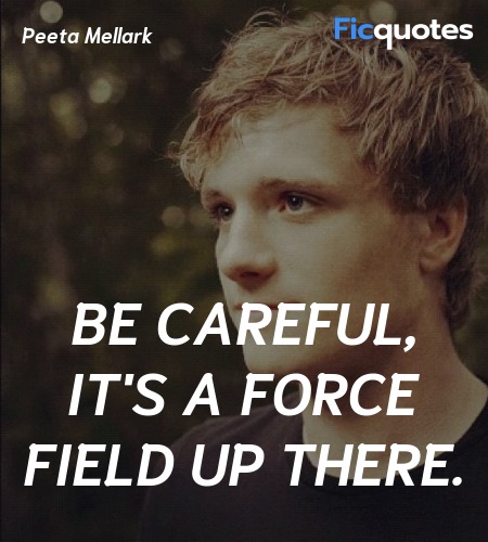 Be careful, it's a force field up there. image