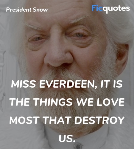 Miss Everdeen, it is the things we love most that destroy us. image