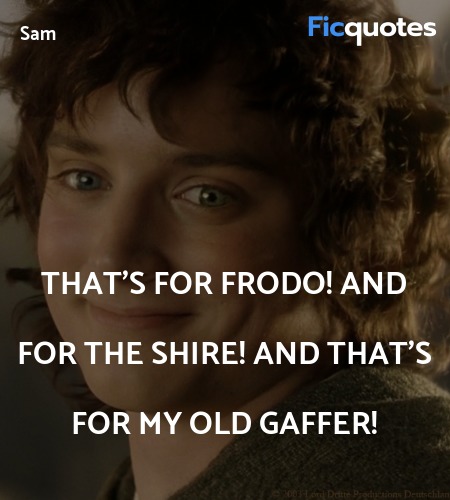  That's for Frodo! And for the Shire! And that's for my old Gaffer! image