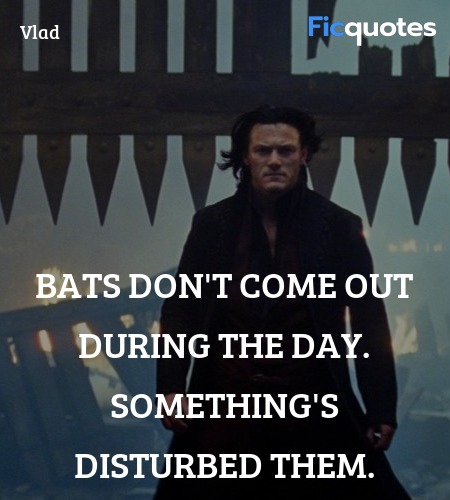 Bats don't come out during the day. Something's disturbed them. image