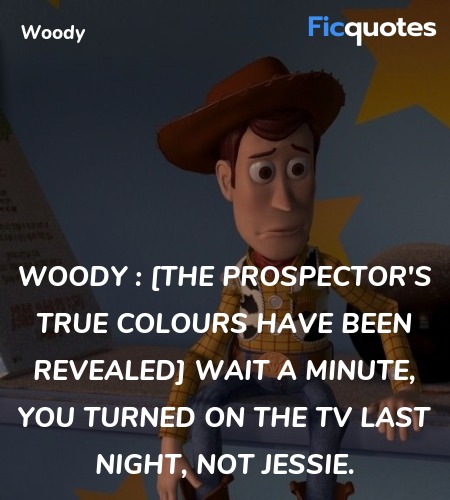Woody : [the Prospector's true colours have been revealed]  Wait a minute, you turned on the TV last night, not Jessie. image