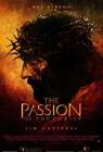 The Passion of the Christ (2004)  image