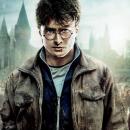 Harry Potter chatacter image
