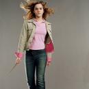 Hermione Granger chatacter image