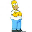 Homer Simpson chatacter image
