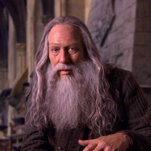 Professor Albus Dumbledore