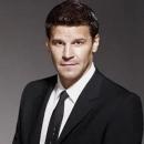 Seeley Booth chatacter image