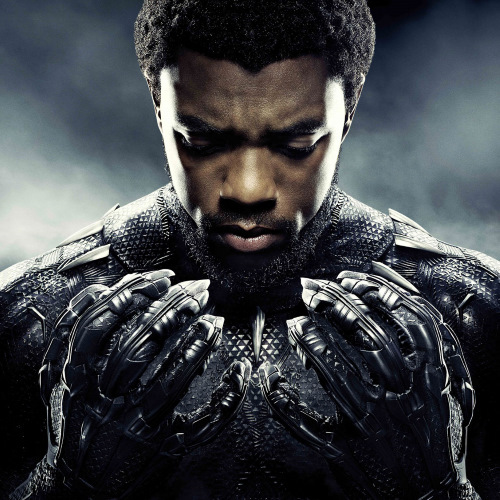 T'Challa Quotes - Black Panther