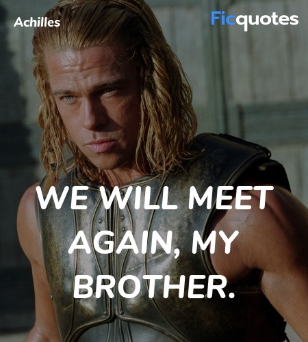  We will meet again, my brother quote image