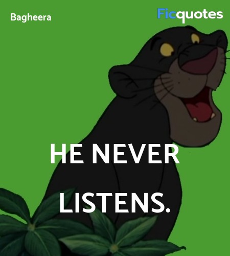  He never listens. image