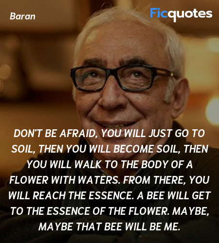  Don't be afraid, you will just go to soil, then you will become soil, then you will walk to the body of a flower with waters. From there, you will reach the essence. A bee will get to the essence of the flower. Maybe, maybe that bee will be me. image