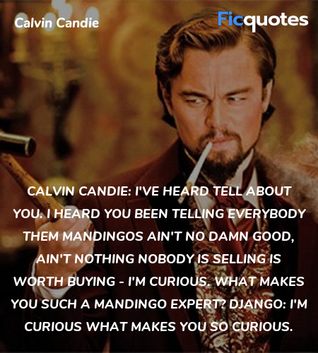 Calvin Candie: I've heard tell about you. I heard you been telling everybody them mandingos ain't no damn good, ain't nothing nobody is selling is worth buying - I'm curious. What makes you such a mandingo expert?
Django: I'm curious what makes you so curious. image