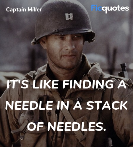  It's like finding a needle in a stack of needles... quote image