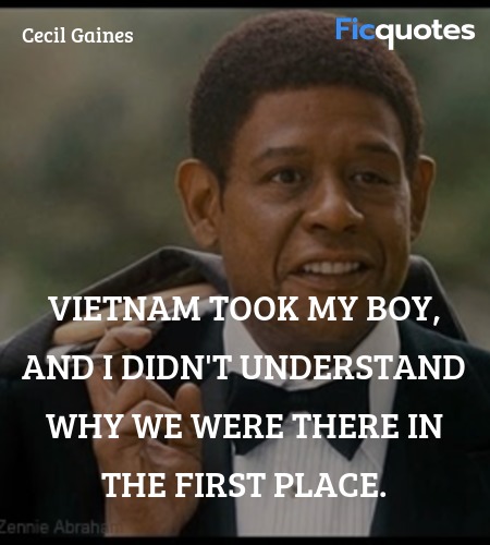 Vietnam took my boy, and I didn't understand why ... quote image