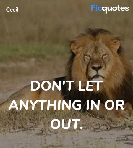 Don't let anything in or out. image