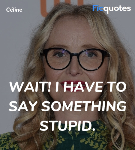 Wait! I have to say something stupid quote image