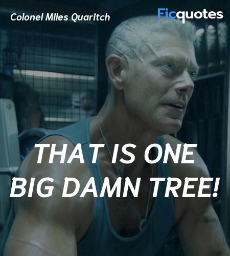  That is one big damn tree quote image