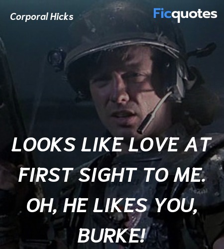 Looks like love at first sight to me. Oh, he likes... quote image