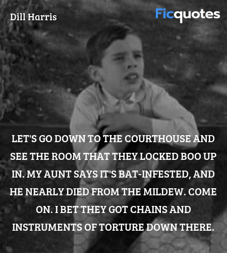 Let's go down to the courthouse and see the room that they locked Boo up in. My aunt says it's bat-infested, and he nearly died from the mildew. Come on. I bet they got chains and instruments of torture down there. image