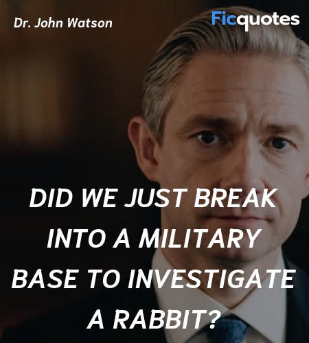  Did we just break into a military base to investigate a rabbit? image