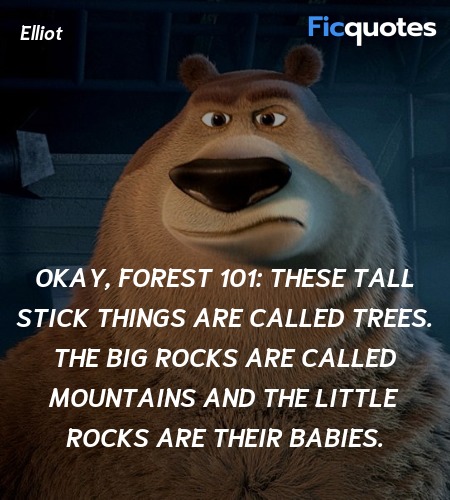 Okay, Forest 101: These tall stick things are called trees. The big rocks are called mountains and the little rocks are their babies. image