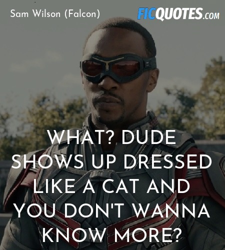 What? Dude shows up dressed like a cat and you don't wanna know more? image