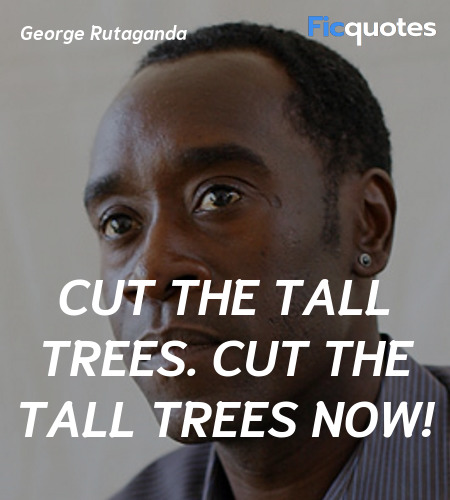 Cut the tall trees. Cut the tall trees now! image
