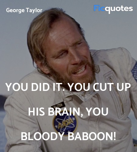  You did it. You cut up his brain, you bloody baboon! image