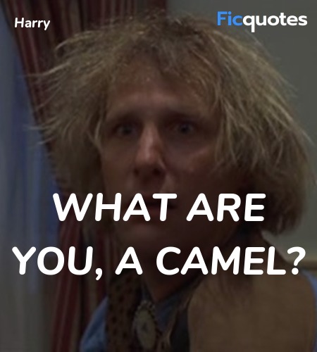  What are you, a camel quote image