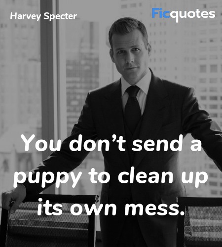 You don’t send a puppy to clean up its own mess... quote image