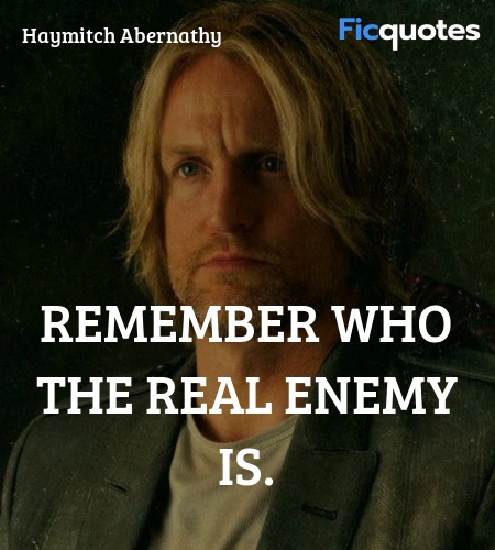 Remember who the real enemy is quote image