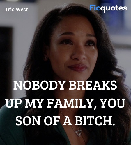 Nobody breaks up my family, you son of a bitch... quote image