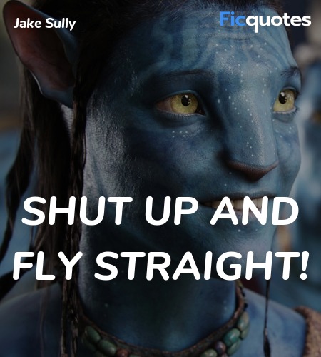 Shut up and fly straight quote image
