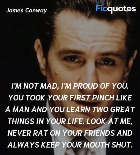 I'm not mad, I'm proud of you. You took your first pinch like a man and you learn two great things in your life. Look at me, never rat on your friends and always keep your mouth shut. image