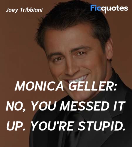 Monica Geller: No, you messed it up. You're stupid... quote image