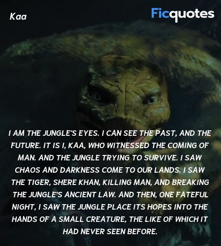 I am the jungle's eyes. I can see the past, and ... quote image